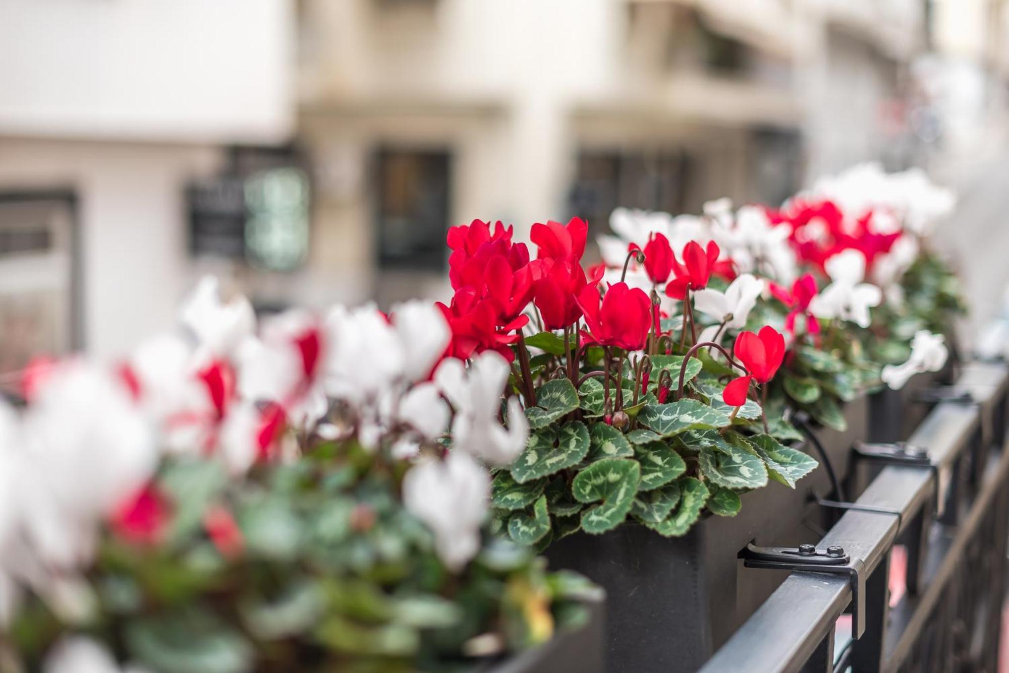 The Rare Luxury Gem Near Syntagma, Kolonaki Square Διαμέρισμα Αθήνα Εξωτερικό φωτογραφία